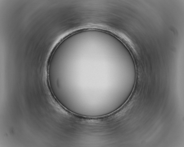 X0000110881280200906180937