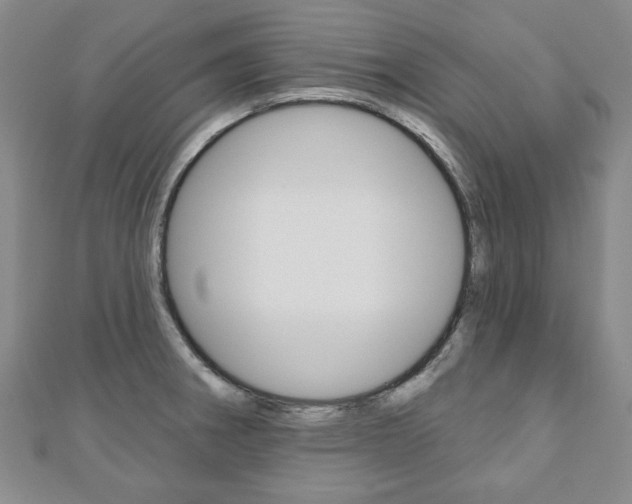 X0000110881282200906180937