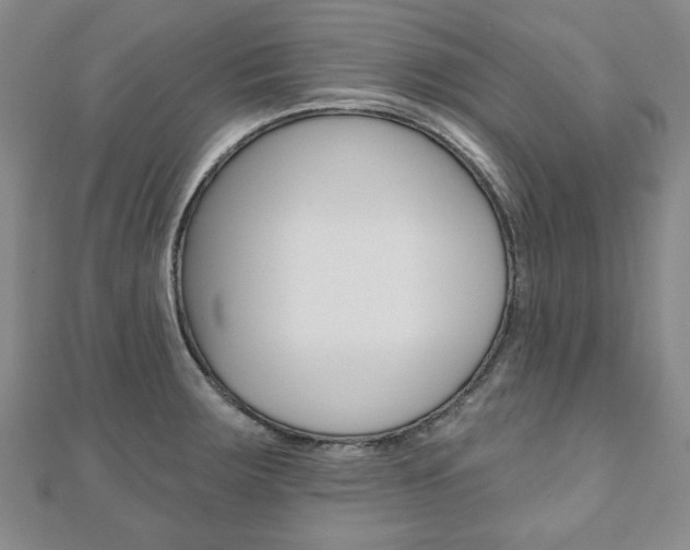 X0000110881283200906180937