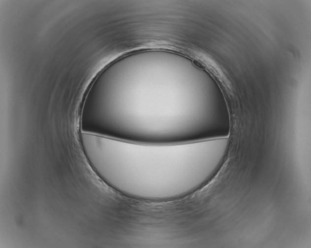 X0000110881284200906180937
