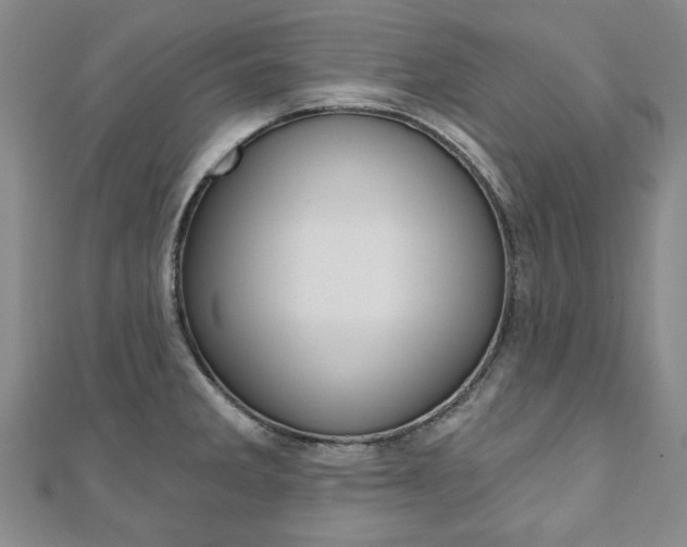 X0000110881285200906180937