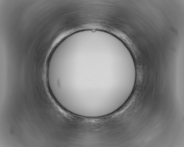 X0000110881286200906180937