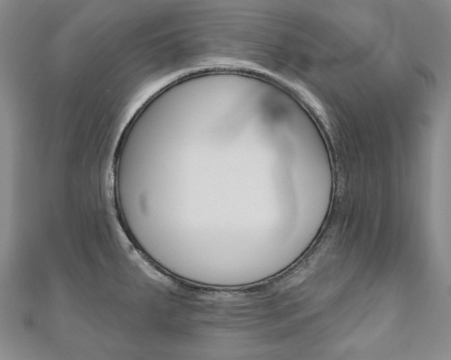 X0000110881287200906180937