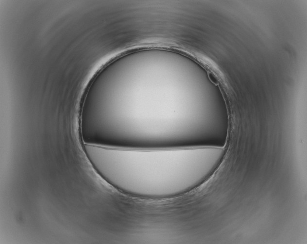 X0000110881288200906180937