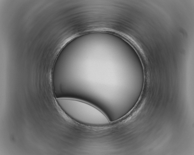 X0000110881289200906180937