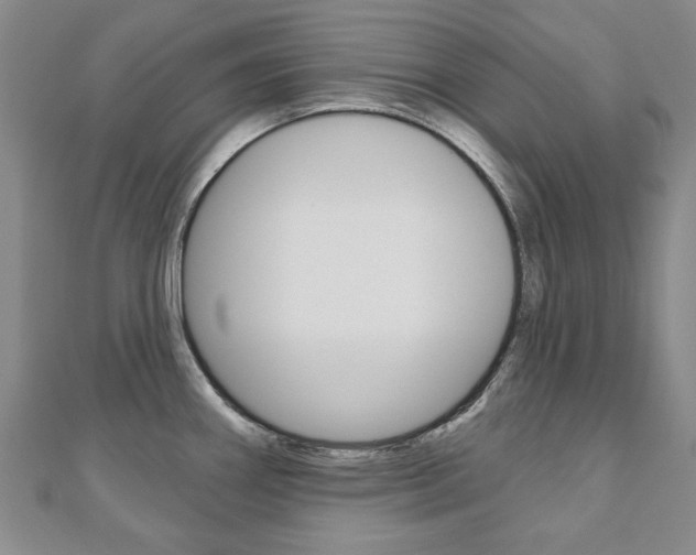 X0000110881290200906180937