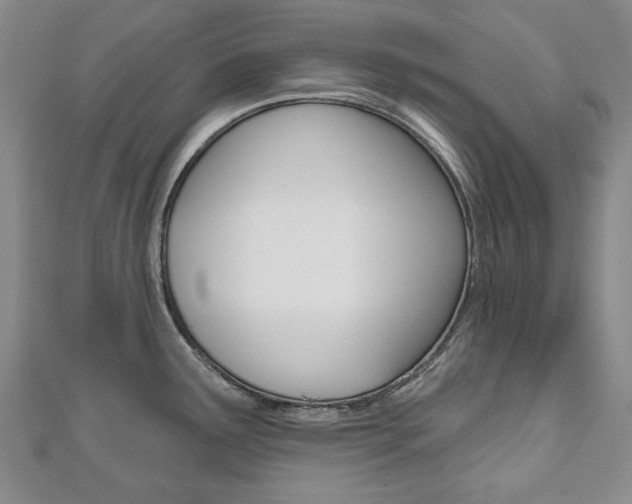 X0000110881291200906180937