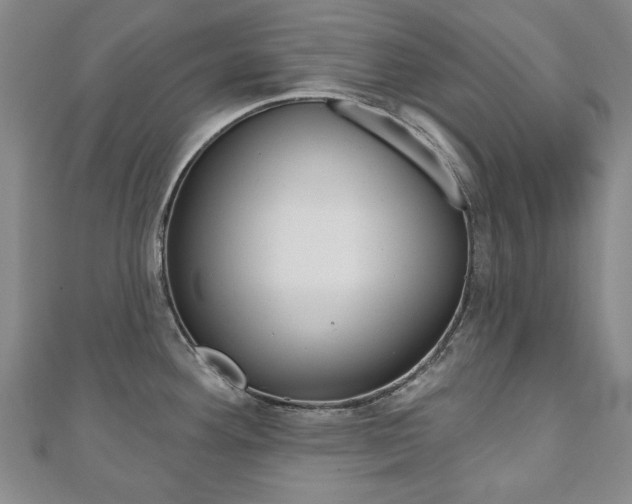 X0000110881292200906180937