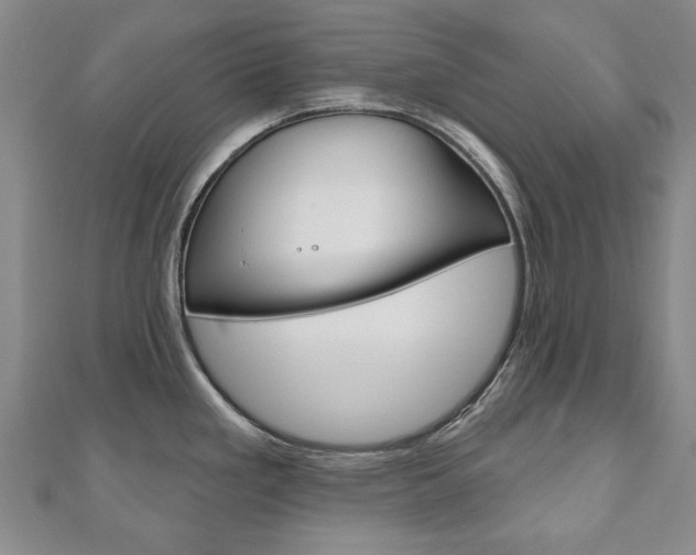 X0000110881293200906180937