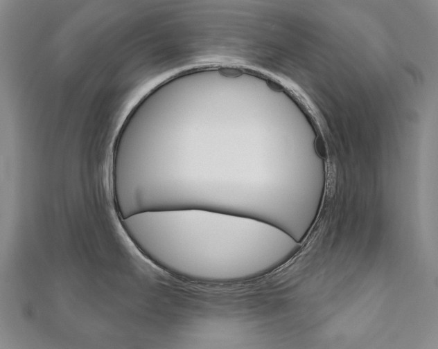 X0000110881295200906180937