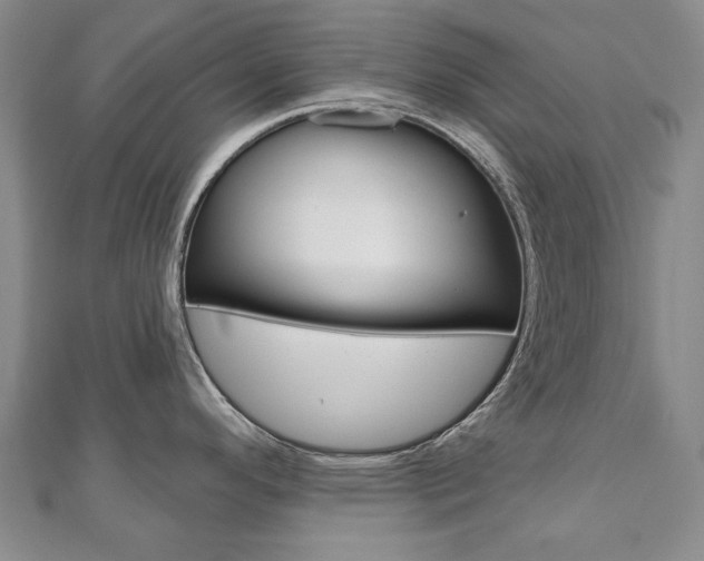 X0000110881296200906180937
