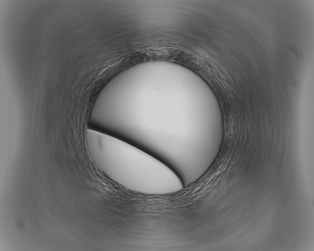 X0000110881297200906180936
