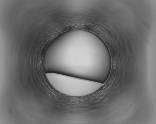X0000110881298200906180936