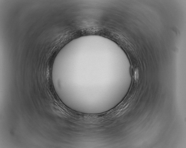 X0000110881299200906180936