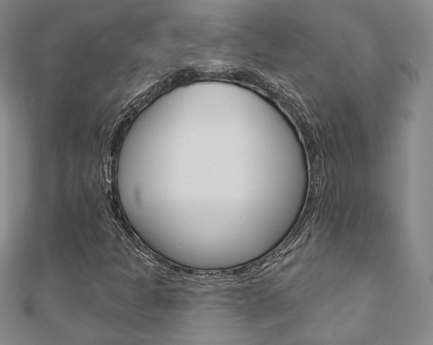 X0000110881301200906180936