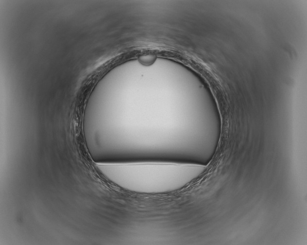 X0000110881303200906180936