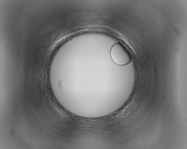 X0000110881304200906180936
