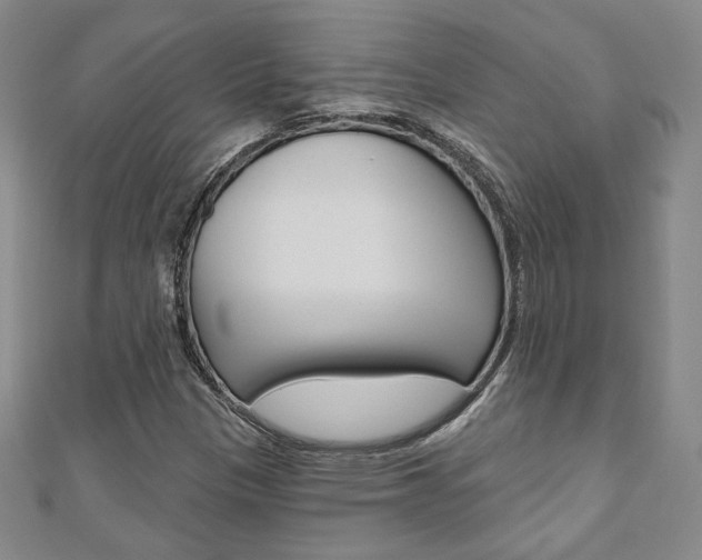 X0000110881305200906180936