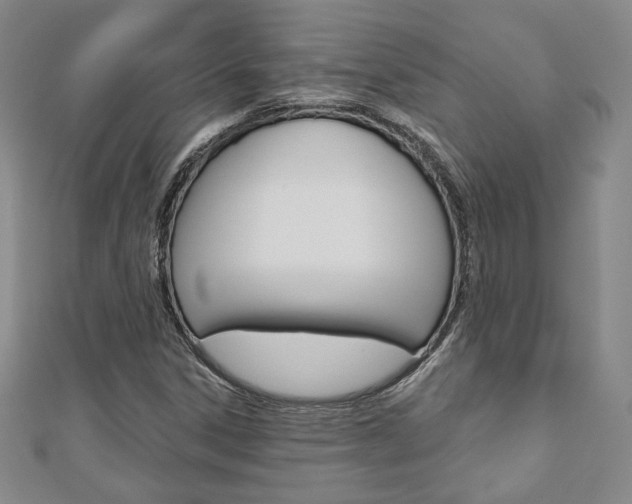 X0000110881306200906180936