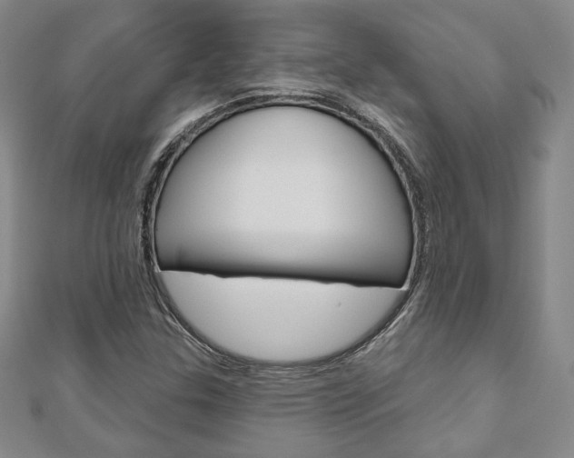X0000110881307200906180936
