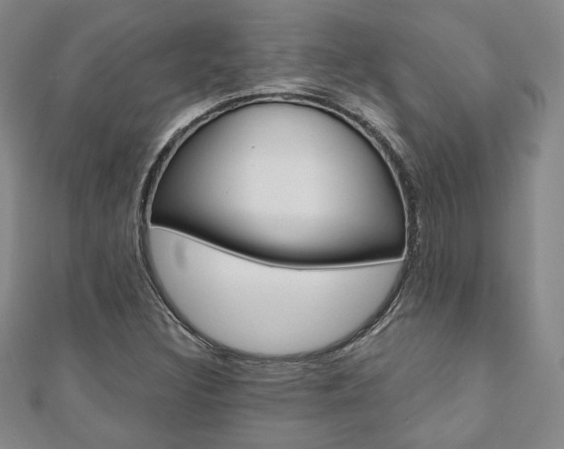 X0000110881308200906180936
