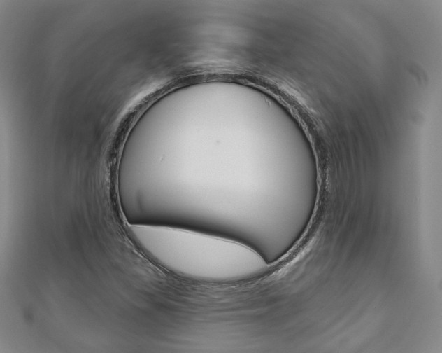 X0000110881309200906180936