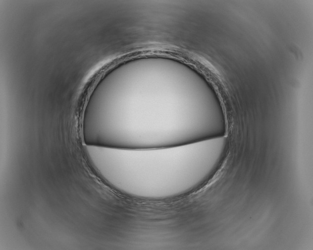X0000110881310200906180936