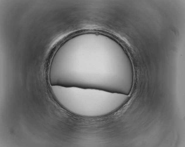 X0000110881311200906180936