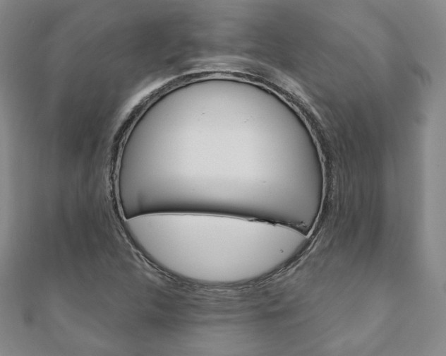X0000110881312200906180936