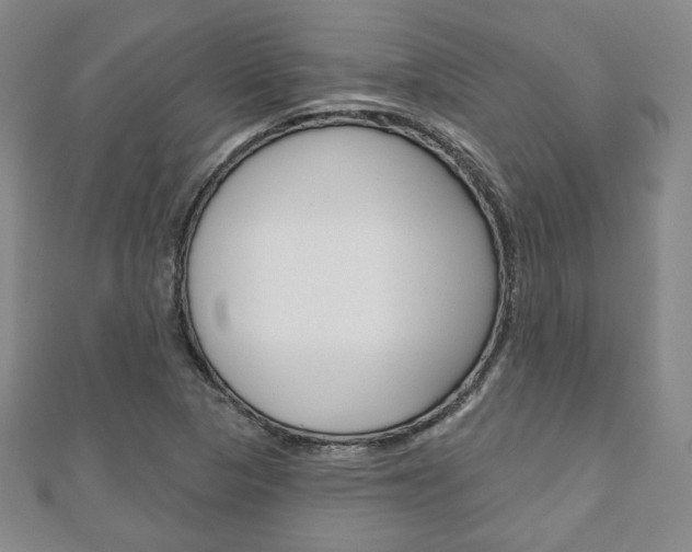 X0000110881313200906180936