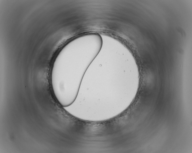 X0000110881314200906180936