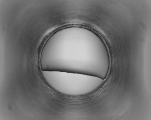X0000110881315200906180936