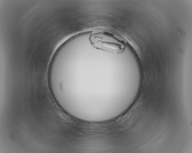 X0000110881316200906180936