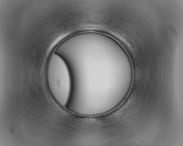 X0000110881317200906180936