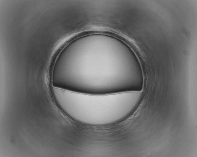 X0000110881319200906180937