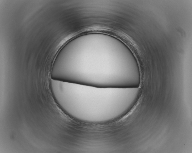 X0000110881321200906180937