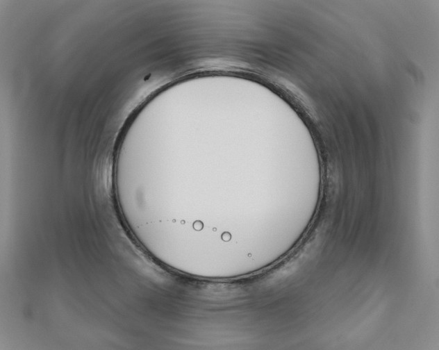 X0000110881322200906180937