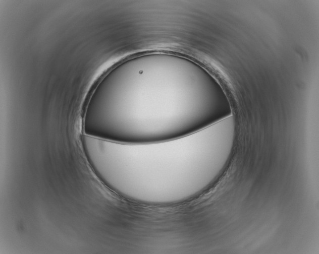 X0000110881324200906180937