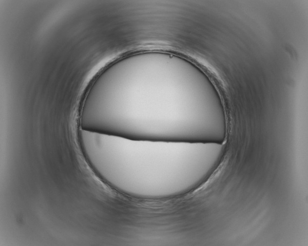 X0000110881325200906180937