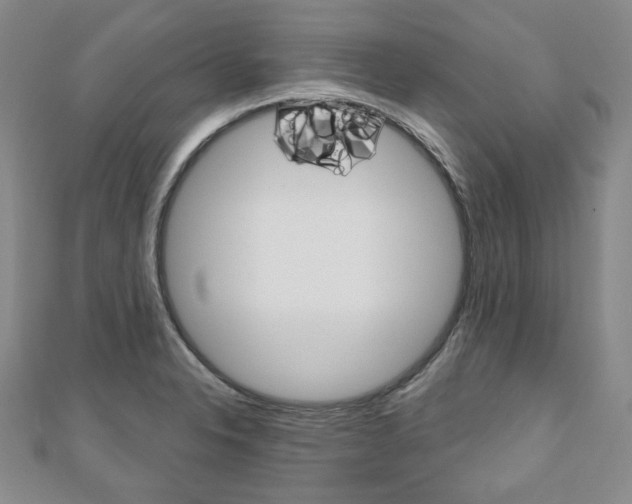 X0000110881326200906180937
