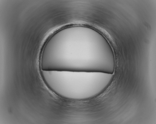 X0000110881327200906180937