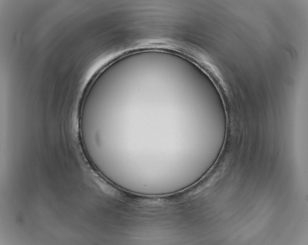 X0000110881328200906180937