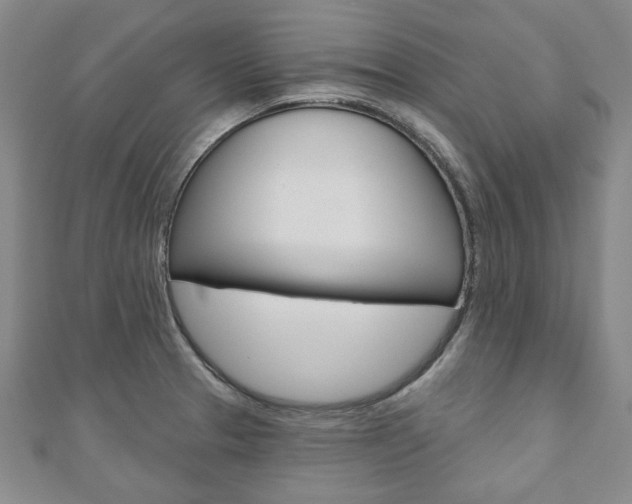 X0000110881329200906180937