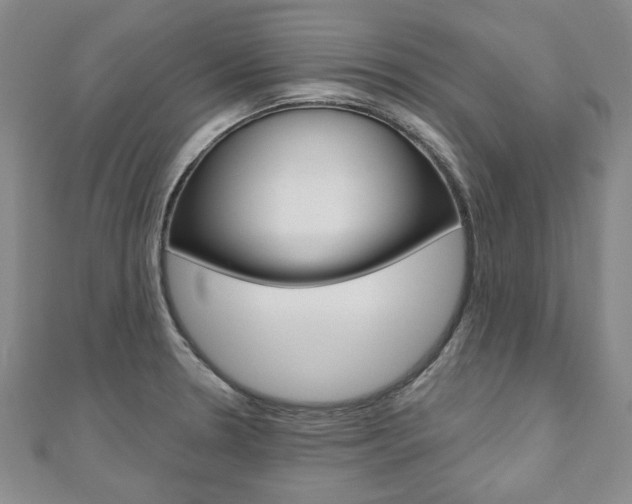 X0000110881330200906180937