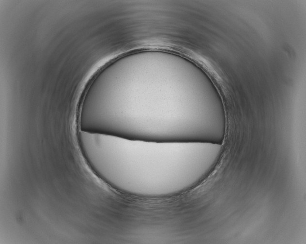 X0000110881331200906180937