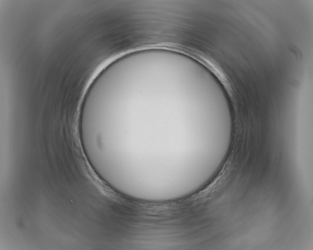 X0000110881332200906180937