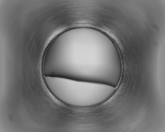X0000110881333200906180937