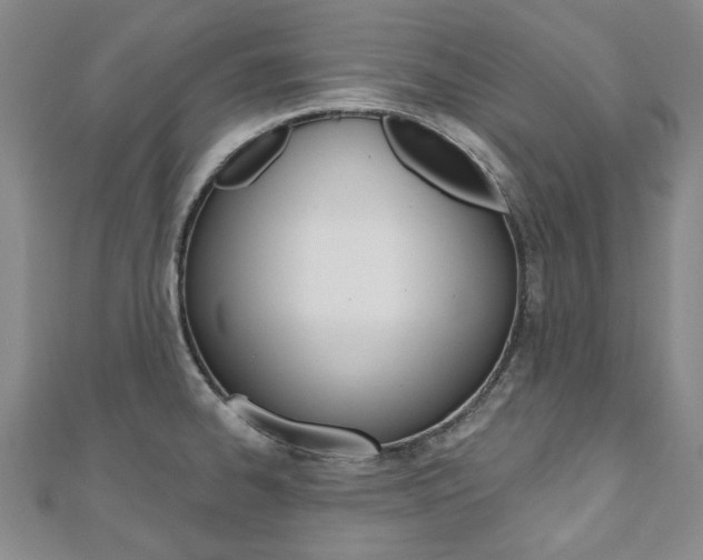 X0000110881334200906180937