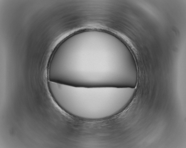 X0000110881335200906180937