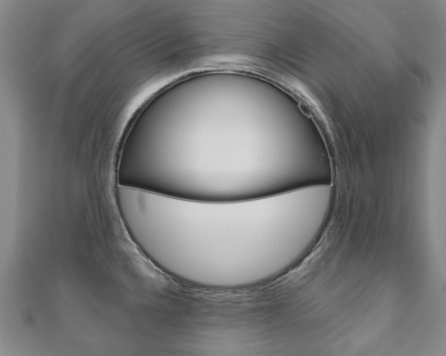 X0000110881336200906180937